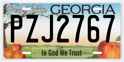 GA license plate PZJ2767