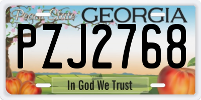 GA license plate PZJ2768