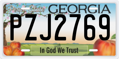 GA license plate PZJ2769