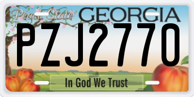GA license plate PZJ2770
