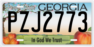 GA license plate PZJ2773