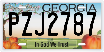 GA license plate PZJ2787