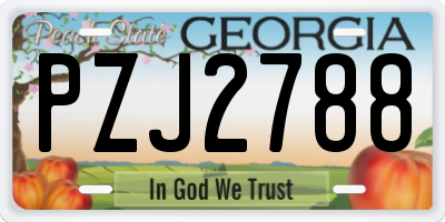 GA license plate PZJ2788