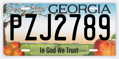 GA license plate PZJ2789
