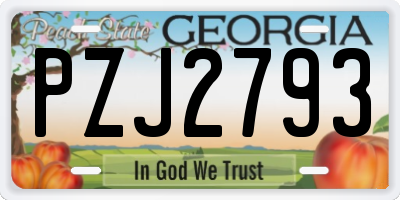 GA license plate PZJ2793