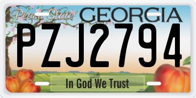 GA license plate PZJ2794