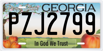 GA license plate PZJ2799