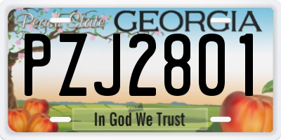 GA license plate PZJ2801