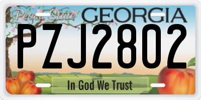 GA license plate PZJ2802