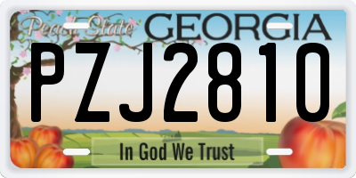 GA license plate PZJ2810