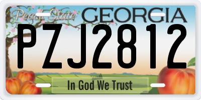 GA license plate PZJ2812