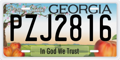 GA license plate PZJ2816