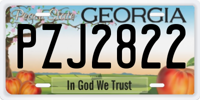 GA license plate PZJ2822