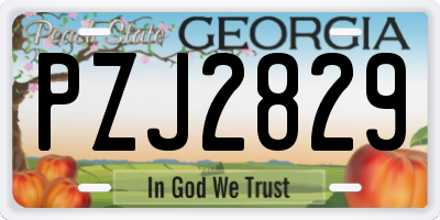GA license plate PZJ2829