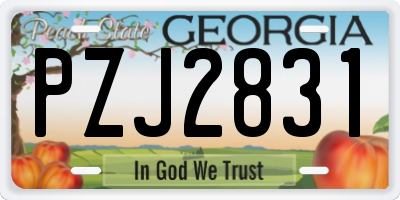 GA license plate PZJ2831