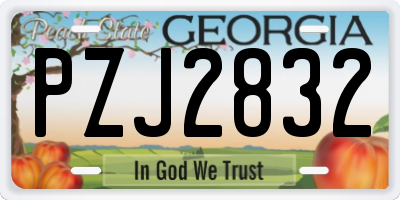 GA license plate PZJ2832