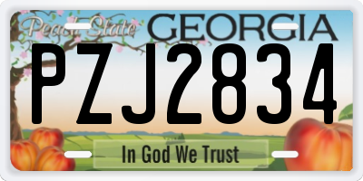 GA license plate PZJ2834