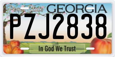 GA license plate PZJ2838