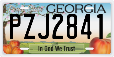 GA license plate PZJ2841