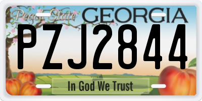 GA license plate PZJ2844