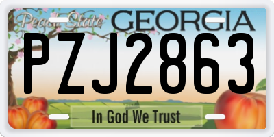 GA license plate PZJ2863