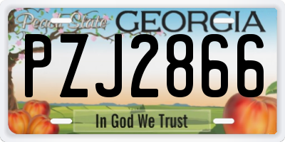 GA license plate PZJ2866