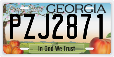 GA license plate PZJ2871