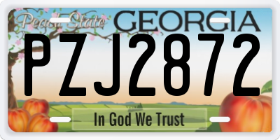 GA license plate PZJ2872