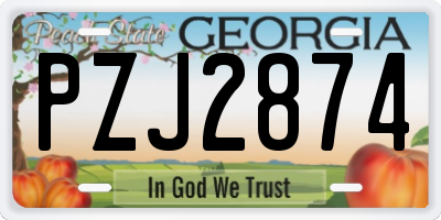 GA license plate PZJ2874