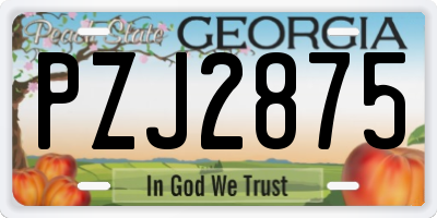 GA license plate PZJ2875