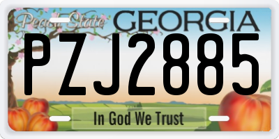GA license plate PZJ2885