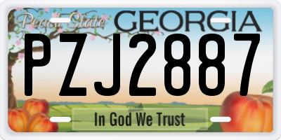 GA license plate PZJ2887