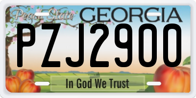 GA license plate PZJ2900