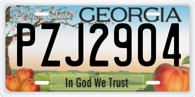 GA license plate PZJ2904
