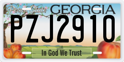 GA license plate PZJ2910