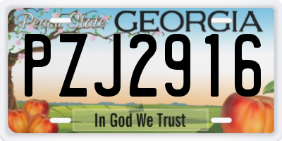 GA license plate PZJ2916