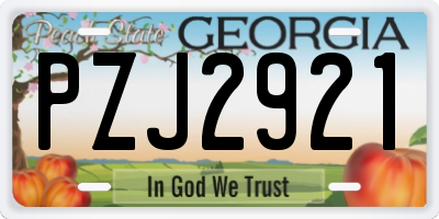 GA license plate PZJ2921