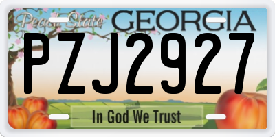 GA license plate PZJ2927