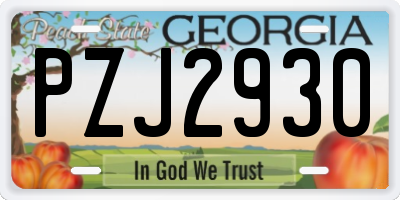 GA license plate PZJ2930
