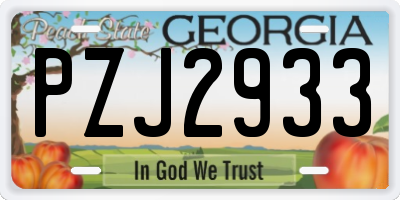 GA license plate PZJ2933