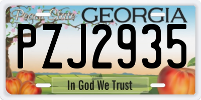 GA license plate PZJ2935
