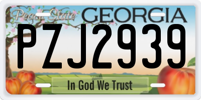 GA license plate PZJ2939