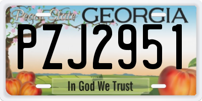 GA license plate PZJ2951