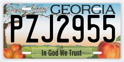 GA license plate PZJ2955