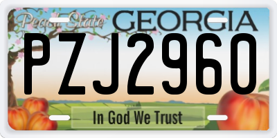 GA license plate PZJ2960