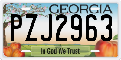 GA license plate PZJ2963