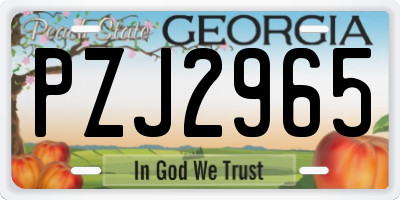 GA license plate PZJ2965
