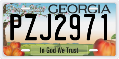 GA license plate PZJ2971