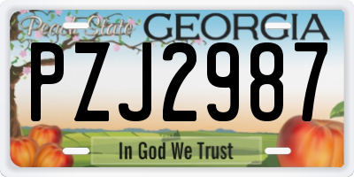 GA license plate PZJ2987