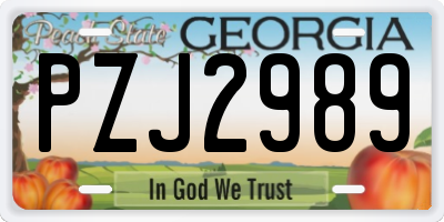 GA license plate PZJ2989